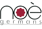 Logo de Flors Noe